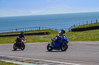 anglesey-no-limits-trackday;anglesey-photographs;anglesey-trackday-photographs;enduro-digital-images;event-digital-images;eventdigitalimages;no-limits-trackdays;peter-wileman-photography;racing-digital-images;trac-mon;trackday-digital-images;trackday-photos;ty-croes